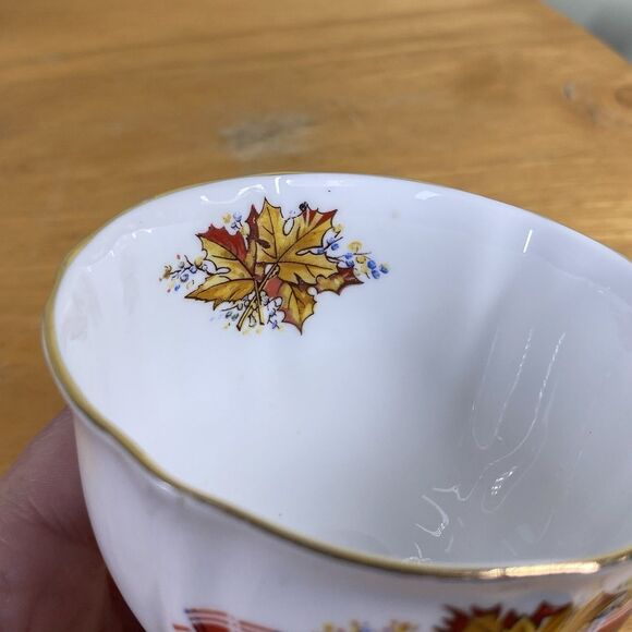 Vintage Windsor Bone China Royal Canadian Tartan Teacup & Saucer Made in England - Picture 12 of 16